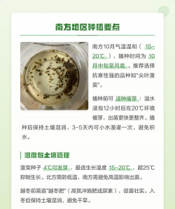 家里阳光不足怎么养花，选对植物种类，掌握养护技巧