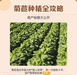 家里阳光不足怎么养花，选对植物种类，掌握养护技巧