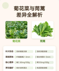 家里阳光不足怎么养花，选对植物种类，掌握养护技巧
