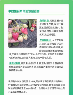 家里阳光不足怎么养花，选对植物种类，掌握养护技巧