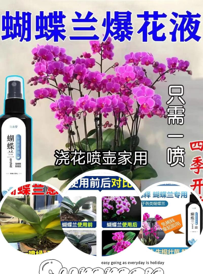 家里阳光不足怎么养花，选对植物种类，掌握养护技巧