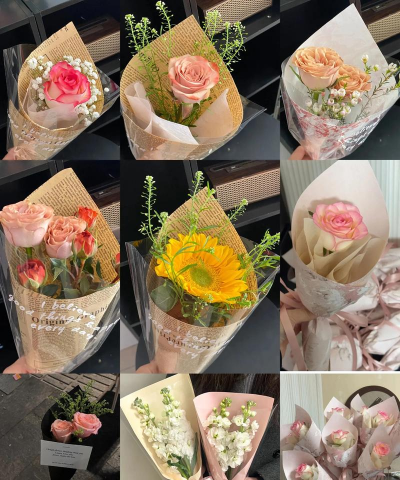 家里阳光不足怎么养花，选对植物种类，掌握养护技巧