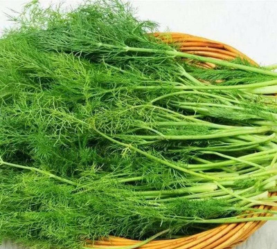 家里阳光不足怎么养花，选对植物种类，掌握养护技巧