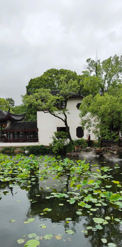 家里阳光不足怎么养花，选对植物种类，掌握养护技巧