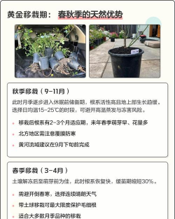家里阳光不足怎么养花，选对植物种类，掌握养护技巧