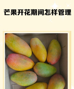 家里阳光不足怎么养花，选对植物种类，掌握养护技巧