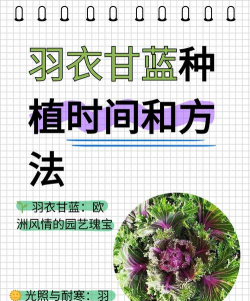 家里阳光不足怎么养花，选对植物种类，掌握养护技巧