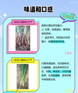 家里阳光不足怎么养花，选对植物种类，掌握养护技巧