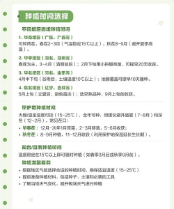 家里阳光不足怎么养花，选对植物种类，掌握养护技巧