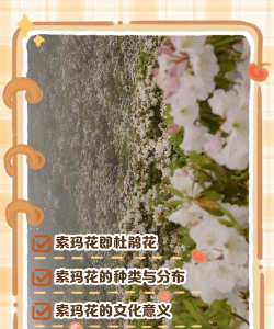 家里阳光不足怎么养花，选对植物种类，掌握养护技巧