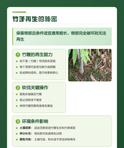 家里阳光不足怎么养花，选对植物种类，掌握养护技巧