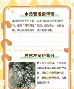 家里阳光不足怎么养花，选对植物种类，掌握养护技巧