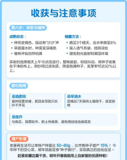 家里阳光不足怎么养花，选对植物种类，掌握养护技巧