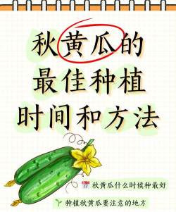 秋黄瓜的种植时间 秋黄瓜的种植时间