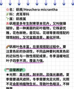 家里阳光不足怎么养花，选对植物种类，掌握养护技巧