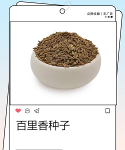 家里阳光不足怎么养花，选对植物种类，掌握养护技巧