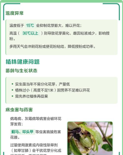 家里阳光不足怎么养花，选对植物种类，掌握养护技巧