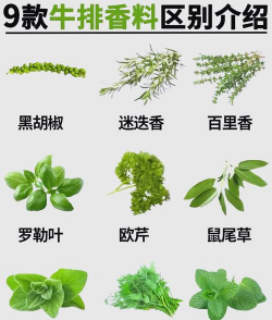 家里阳光不足怎么养花，选对植物种类，掌握养护技巧