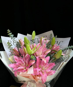 家里阳光不足怎么养花，选对植物种类，掌握养护技巧