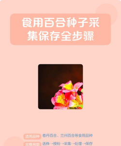 家里阳光不足怎么养花，选对植物种类，掌握养护技巧