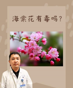 家里阳光不足怎么养花，选对植物种类，掌握养护技巧