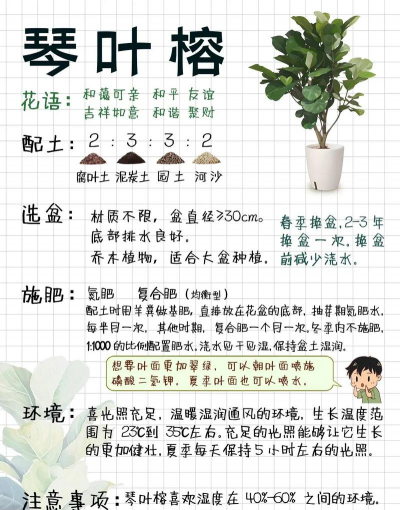 家里阳光不足怎么养花，选对植物种类，掌握养护技巧