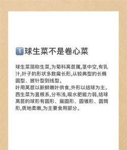 家里阳光不足怎么养花，选对植物种类，掌握养护技巧