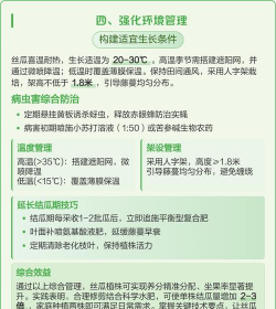 家里阳光不足怎么养花，选对植物种类，掌握养护技巧