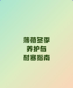 家里阳光不足怎么养花，选对植物种类，掌握养护技巧