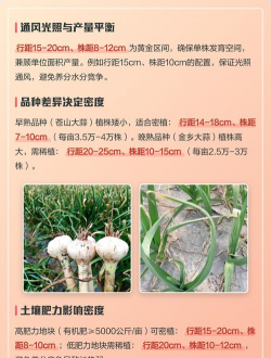 家里阳光不足怎么养花，选对植物种类，掌握养护技巧