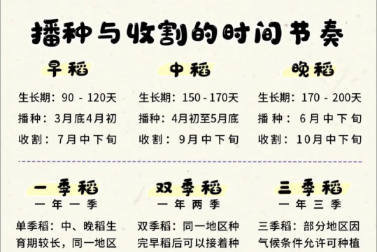 家里阳光不足怎么养花，选对植物种类，掌握养护技巧