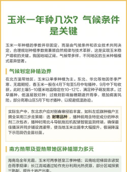 家里阳光不足怎么养花，选对植物种类，掌握养护技巧