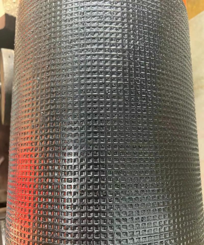 家里阳光不足怎么养花，选对植物种类，掌握养护技巧