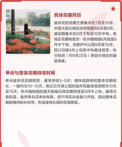 家里阳光不足怎么养花，选对植物种类，掌握养护技巧