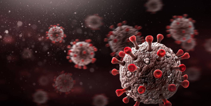 小众送妈妈的花有哪些花