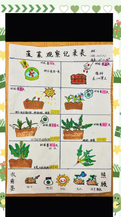 家里阳光不足怎么养花，选对植物种类，掌握养护技巧