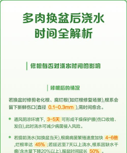 家里阳光不足怎么养花，选对植物种类，掌握养护技巧