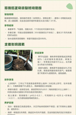 家里阳光不足怎么养花，选对植物种类，掌握养护技巧