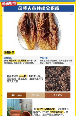 家里阳光不足怎么养花，选对植物种类，掌握养护技巧