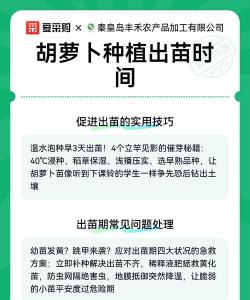 家里阳光不足怎么养花，选对植物种类，掌握养护技巧