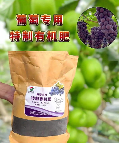 家里阳光不足怎么养花，选对植物种类，掌握养护技巧