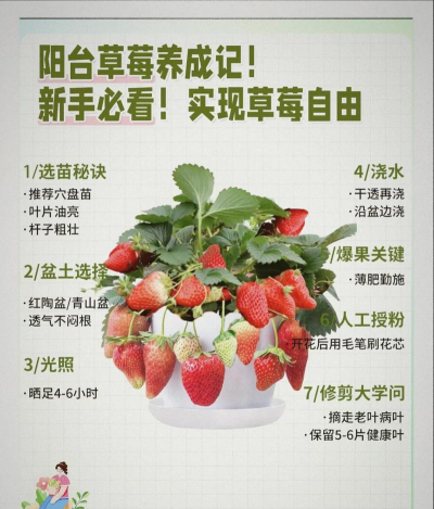 家里阳光不足怎么养花，选对植物种类，掌握养护技巧