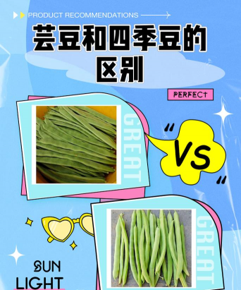 家里阳光不足怎么养花，选对植物种类，掌握养护技巧