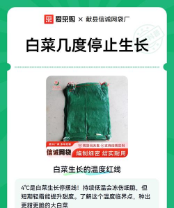 家里阳光不足怎么养花，选对植物种类，掌握养护技巧