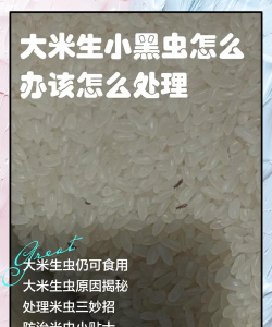 家里阳光不足怎么养花，选对植物种类，掌握养护技巧