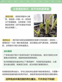 家里阳光不足怎么养花，选对植物种类，掌握养护技巧