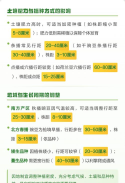 家里阳光不足怎么养花，选对植物种类，掌握养护技巧