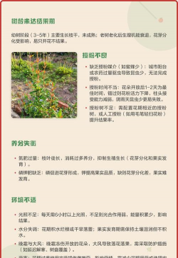 家里阳光不足怎么养花，选对植物种类，掌握养护技巧