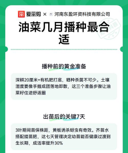 家里阳光不足怎么养花，选对植物种类，掌握养护技巧