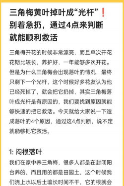 家里阳光不足怎么养花，选对植物种类，掌握养护技巧